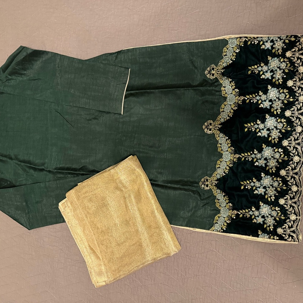 Elegant Green and Gold Velvet Embroidered Dress